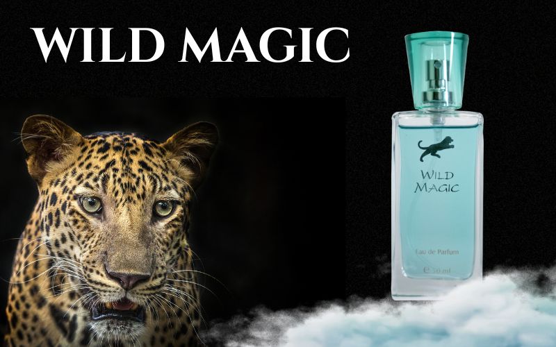 Wild Magic