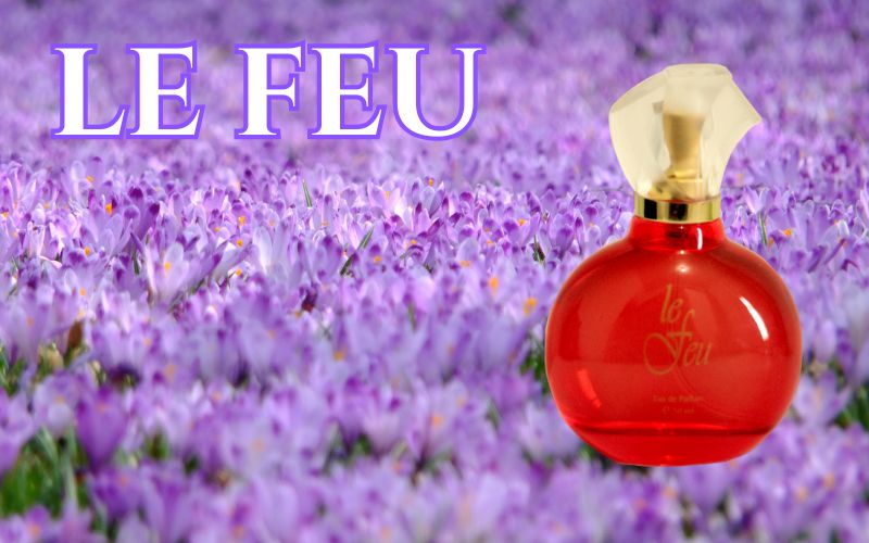 Le Feu